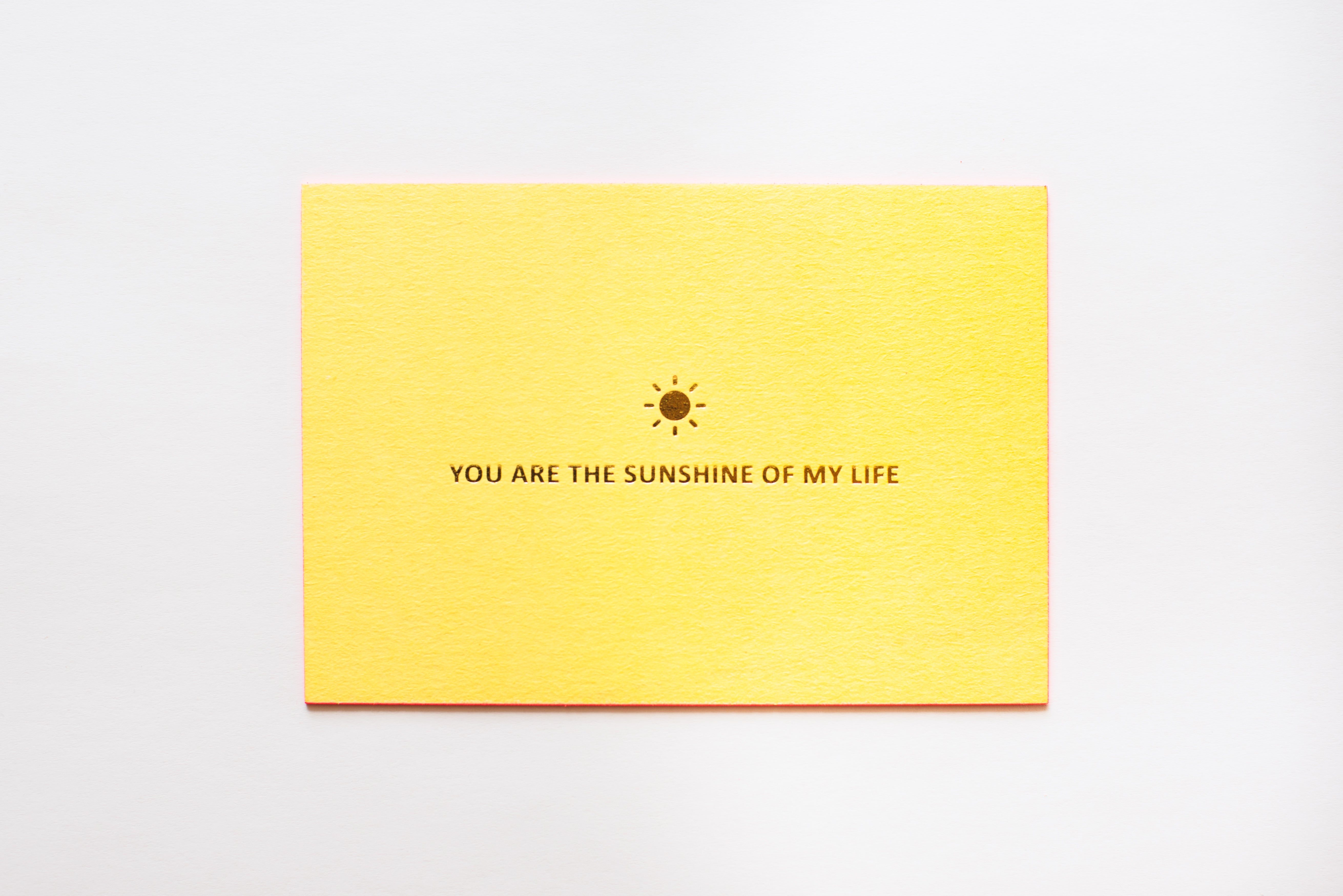 YOU ARE THE SUNSHINE