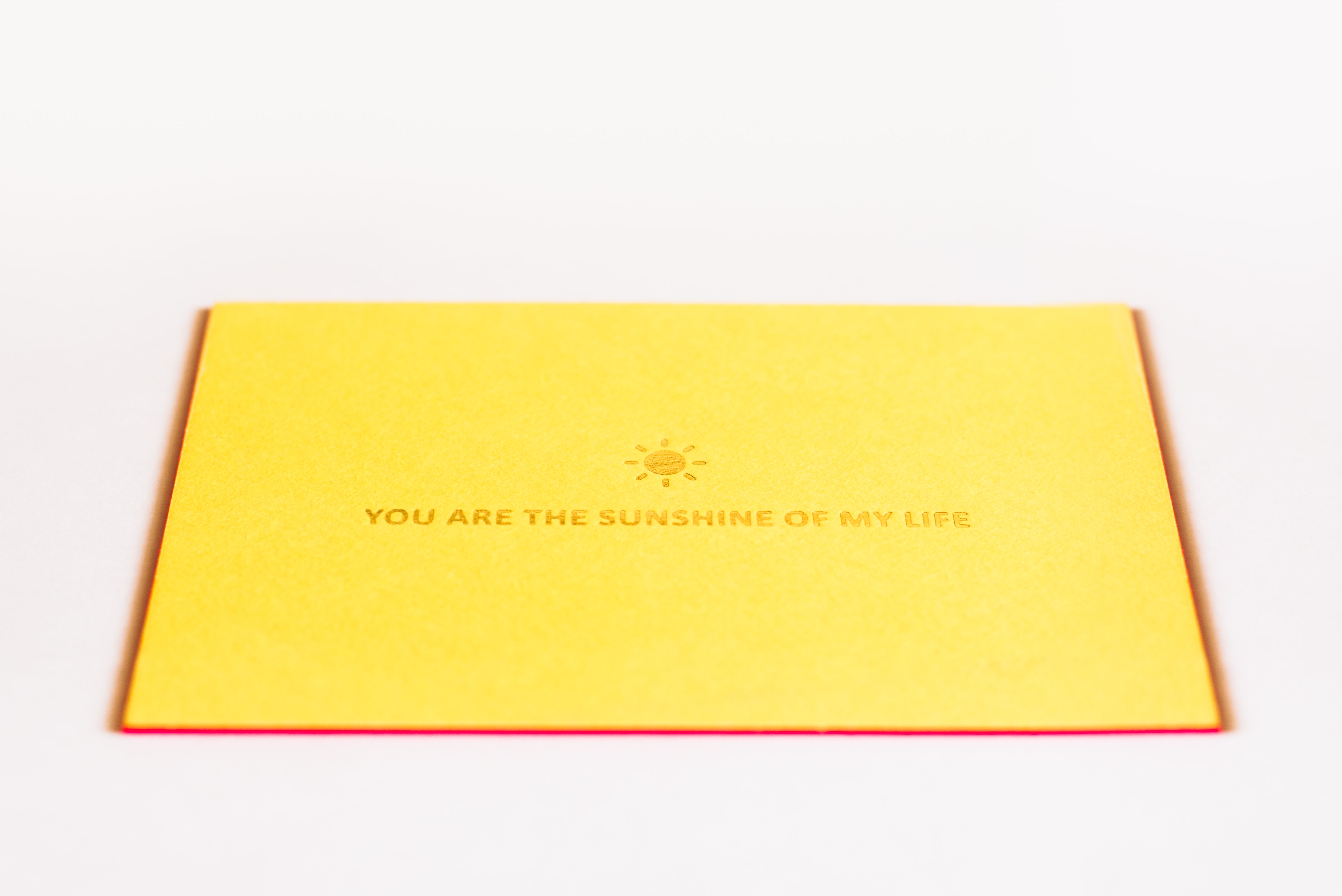 YOU ARE THE SUNSHINE
