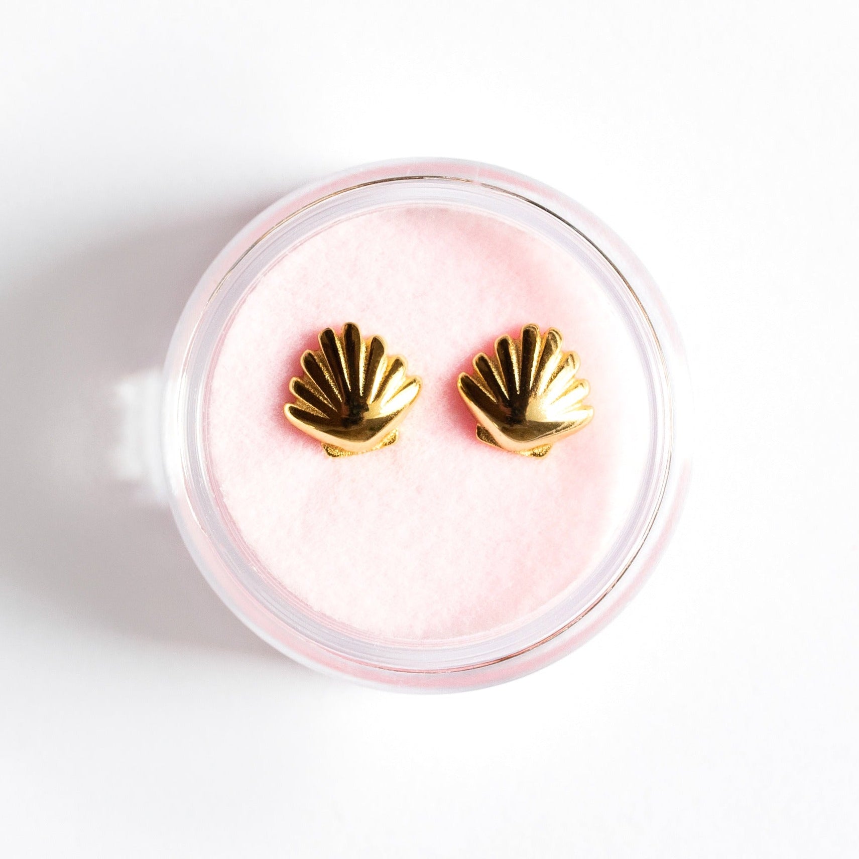 OHRSTECKER MUSCHEL gross