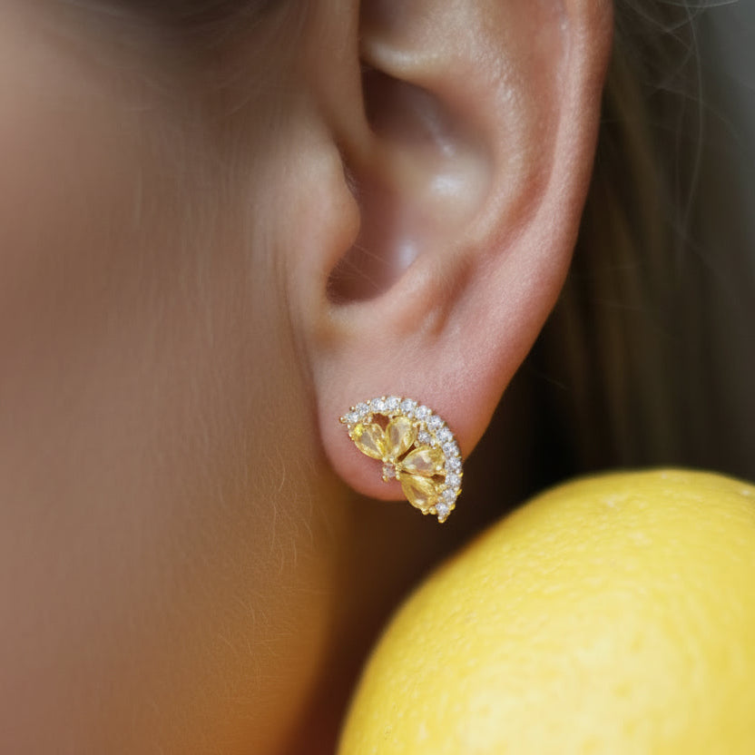 Ohrstecker WASSERMELONE