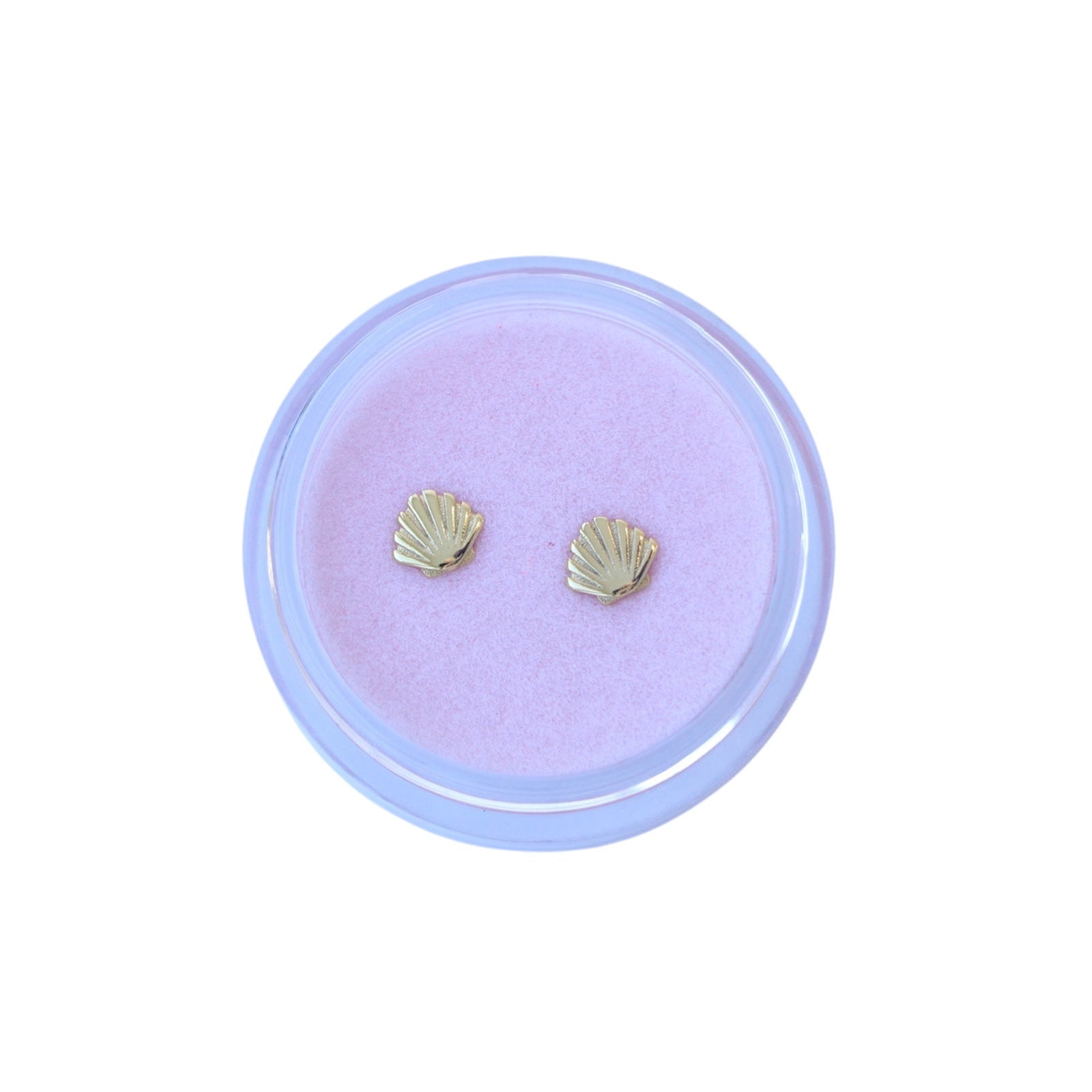 OHRSTECKER MUSCHEL klein