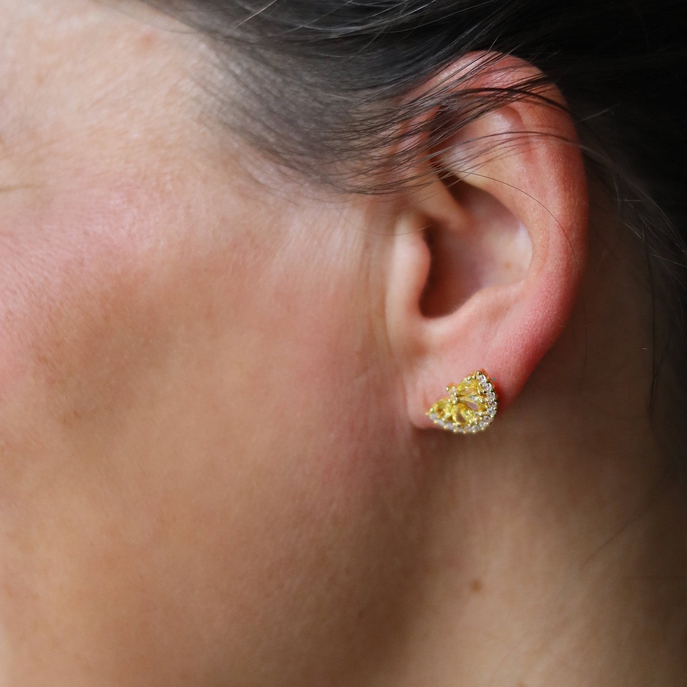 Ohrstecker WASSERMELONE