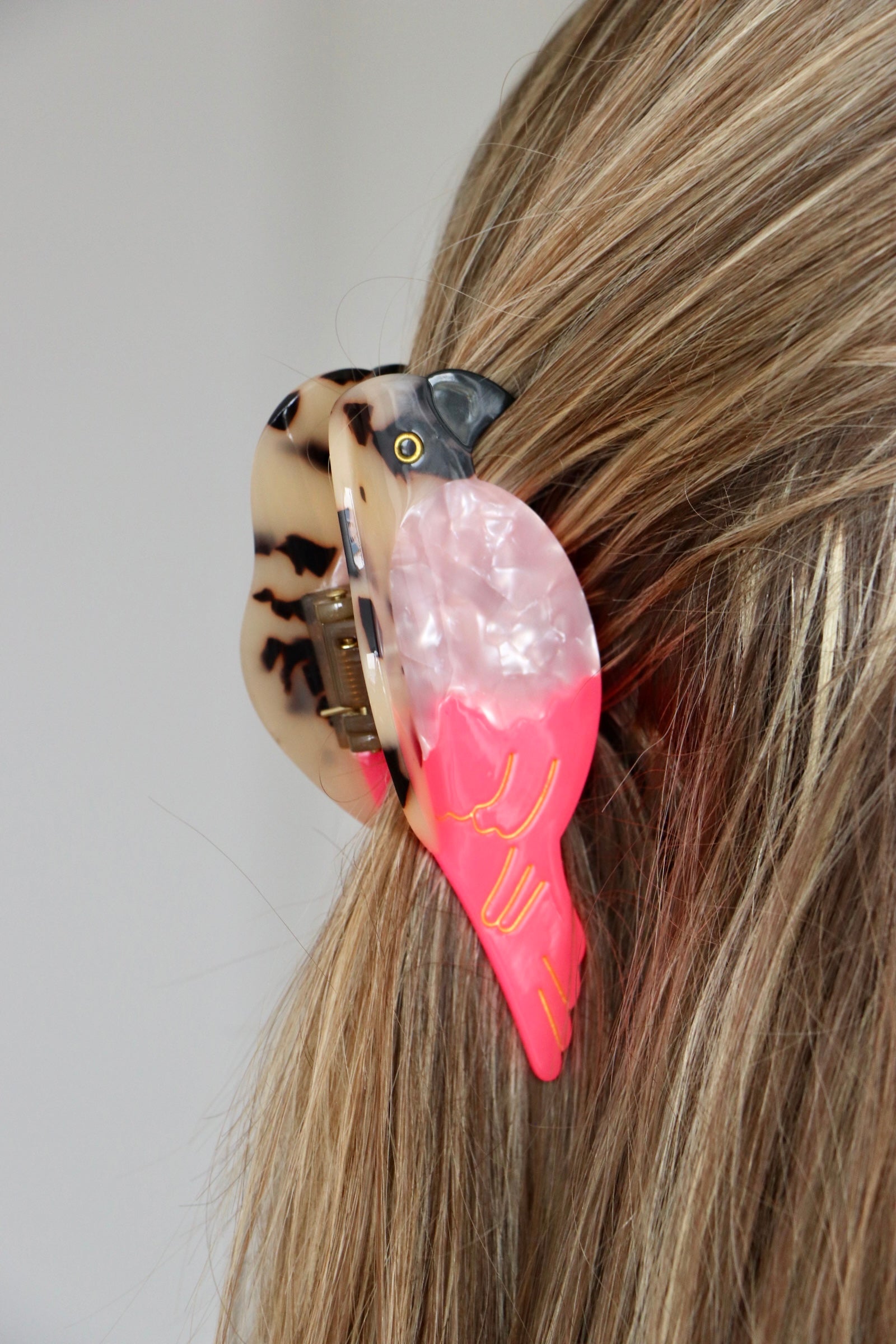 Haarklammer vogelwild