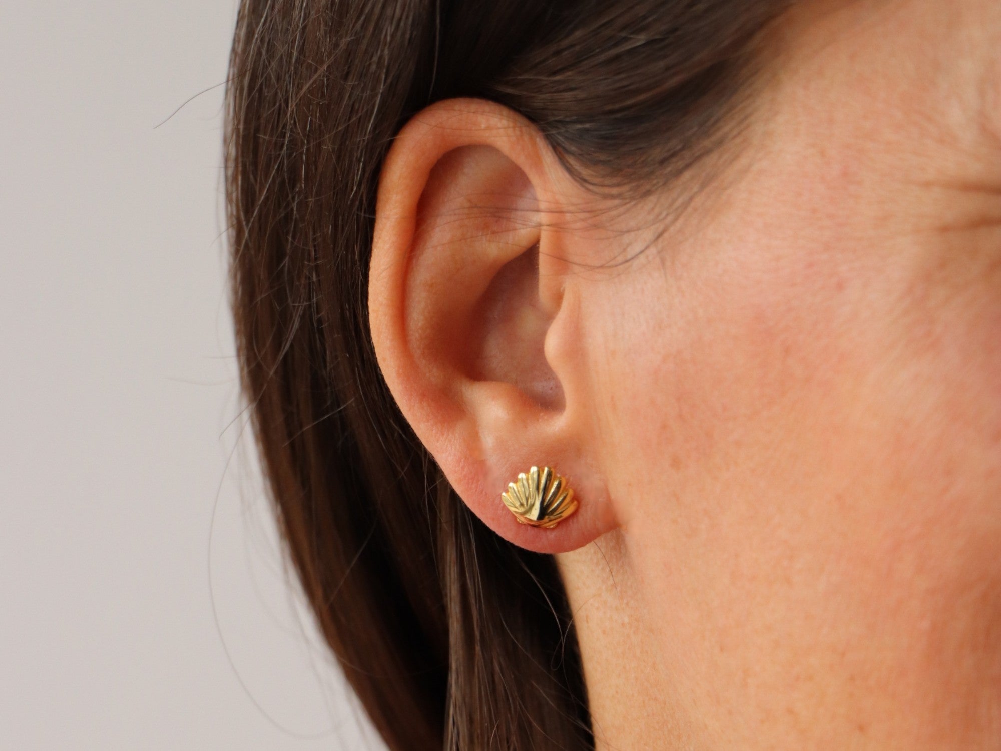 OHRSTECKER MUSCHEL gross